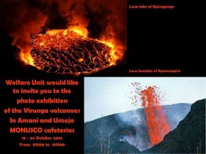 10250205_10205123318267605_8143964490883636725_n